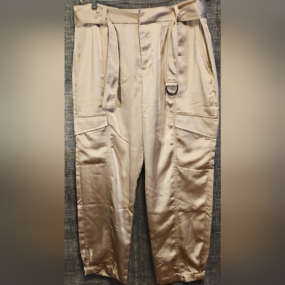 Sanctuary silk like cargo pants
